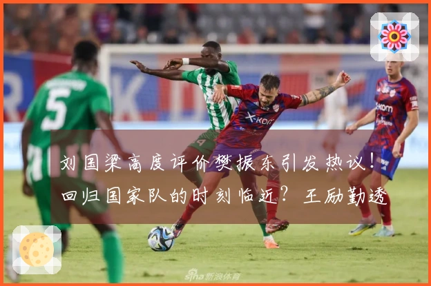 刘国梁高度评价樊振东引发热议！回归国家队的时刻临近？王励勤透露已在沟通