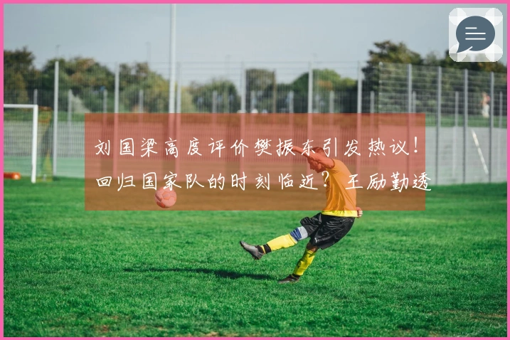 刘国梁高度评价樊振东引发热议！回归国家队的时刻临近？王励勤透露已在沟通